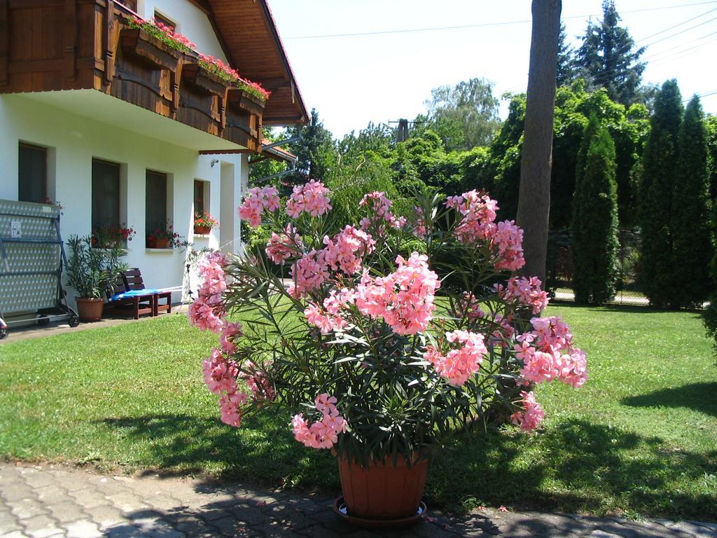Sommer Panzio Balatonföldvár Εξωτερικό φωτογραφία